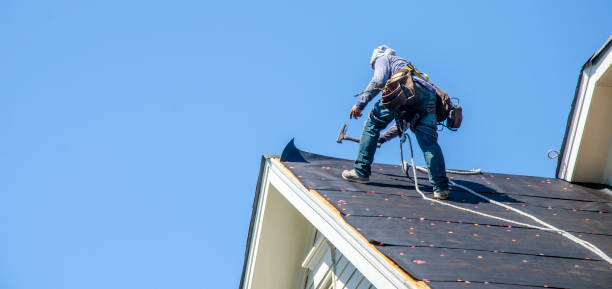 Best Roof Gutter Cleaning  in East Dublin, GA